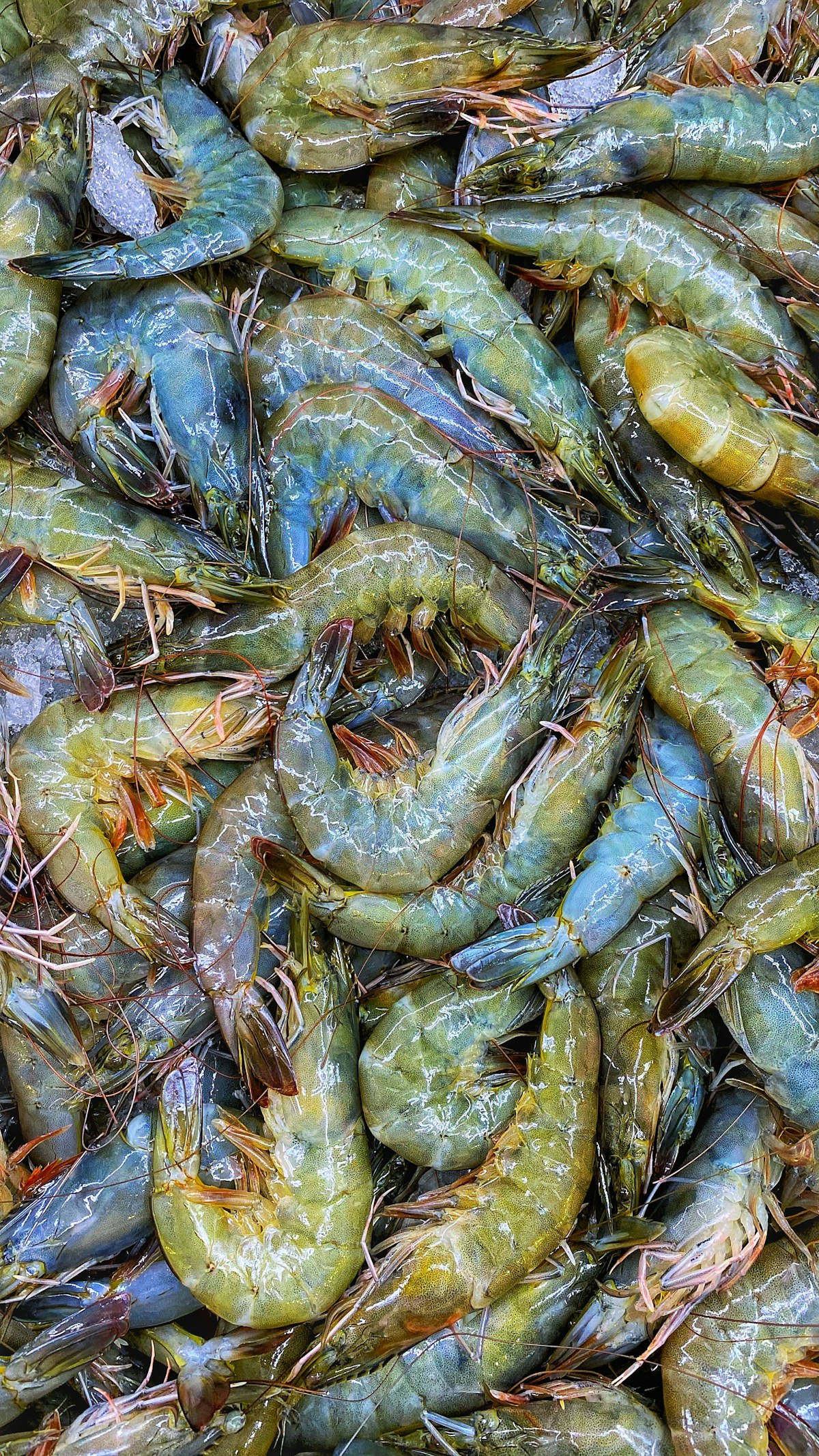 Prodotti selezionati pronti da cucinare